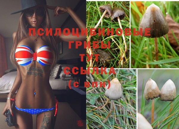COCAINE Касимов
