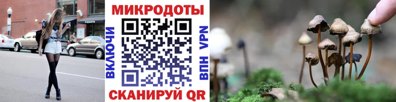 Псилоцибиновые грибы мицелий  Купить где  Зверево 